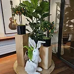 르 콜리세 호텔 파리